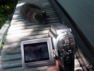 video.jpg